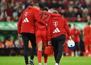 钻石联赛八强战对决在即！达拉斯独行侠演练定位球，拜仁慕尼黑密集防守应对的简单介绍